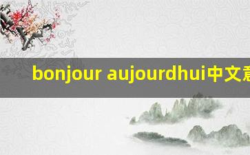 bonjour aujourdhui中文意思